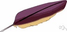 pinion - any of the larger wing or tail feathers of a bird