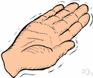 palm - the inner surface of the hand from the wrist to the base of the fingers