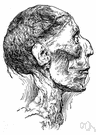 Rameses II - king of Egypt between 1304 and 1237 BC who built many monuments