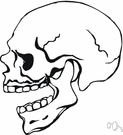 mandibula - the jaw in vertebrates that is hinged to open the mouth