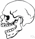 mandibular bone - the jaw in vertebrates that is hinged to open the mouth