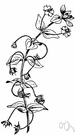 scarlet pimpernel - herb with scarlet or white or purple blossoms that close at approach of rainy weather