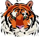 sensory hair - a long stiff hair growing from the snout or brow of most mammals as e.g. a cat