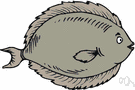gray flounder - flounder found from North Carolina to Florida and the eastern Gulf of Mexico