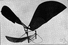 ornithopter - heavier-than-air craft that is propelled by the flapping of wings