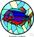 genus Serrasalmus - piranhas genus Serrasalmus - piranhas