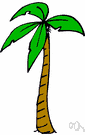 palm family - chiefly tropical trees and shrubs and vines usually having a tall columnar trunk bearing a crown of very large leaves