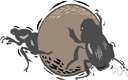 tumblebug - any of various dung beetles