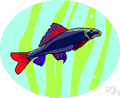 US Fish and Wildlife Service - an agency in the Department of the Interior that conserves and protects fish and wildlife and their habitats