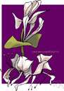 marsh orchid - any of several orchids of the genus Dactylorhiza having fingerlike tuberous roots
