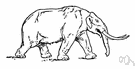 American mastodon - mastodon of North America