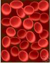 type AB - the blood group whose red cells carry both the A and B antigens