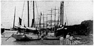 Port Louis - capital and chief port of Mauritius