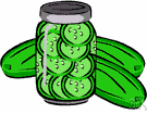 Cucumis sativus - a melon vine of the genus Cucumis