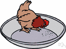 gray hen - female black grouse