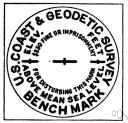 benchmark - a surveyor's mark on a permanent object of predetermined position and elevation used as a reference point