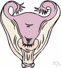 urinary organ - an organ that separates waste substances from the blood and discharges them