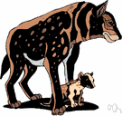 spotted hyena - African hyena noted for its distinctive howl