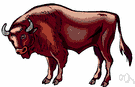 bison - any of several large humped bovids having shaggy manes and large heads and short horns