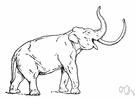 imperial elephant - largest known mammoth