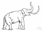 imperial mammoth - largest known mammoth