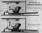 piano action - action consisting of a system of levers that move a felt hammer to strike the strings when a key is depressed