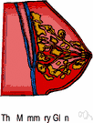 mammary gland - milk-secreting organ of female mammals
