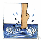 hallux - the first largest innermost toe