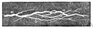 mineral vein - a layer of ore between layers of rock