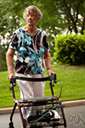 aging - the organic process of growing older and showing the effects of increasing age
