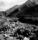 Sinai Desert - a desert on the Sinai Peninsula in northeastern Egypt