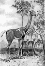 Miocene - from 25 million to 13 million years ago