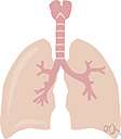 air-breathing - deriving oxygen from the air