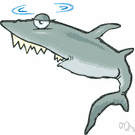 superorder Acanthopterygii - teleost fishes having fins with sharp bony rays
