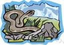 Python sebae - very large python of tropical and southern Africa