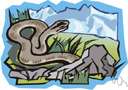 rock python - very large python of tropical and southern Africa