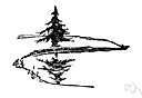 mirrorlike - capable of reflecting light like a mirror