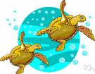 endangered species - a species whose numbers are so small that the species is at risk of extinction