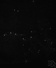 Big Dipper - a group of seven bright stars in the constellation Ursa Major