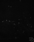 Wain - a group of seven bright stars in the constellation Ursa Major