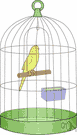 parroquet - any of numerous small slender long-tailed parrots