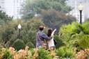 arboretum - a facility where trees and shrubs are cultivated for exhibition