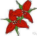 wood lily