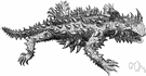 horned lizard - insectivorous lizard with hornlike spines on the head and spiny scales on the body