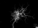 electric charge - the quantity of unbalanced electricity in a body (either positive or negative) and construed as an excess or deficiency of electrons
