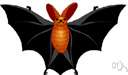 Mexican freetail bat - the common freetail bat of southern United States having short velvety fur