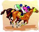 horse racing