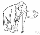 columbian mammoth - a variety of mammoth