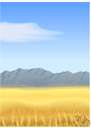 wheat field - a field planted with wheat