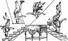 turnverein - a club of tumblers or gymnasts